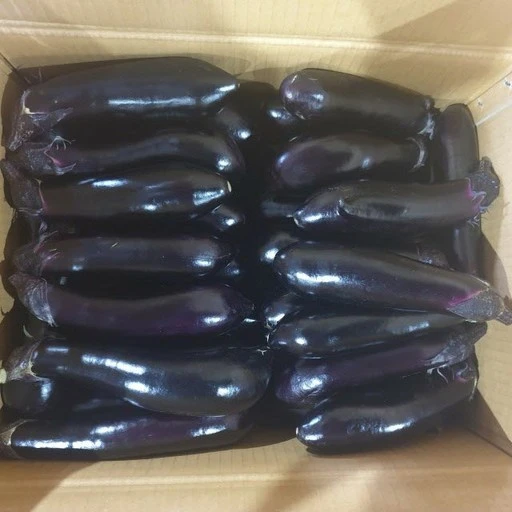 [ㅋㅍ]클릭마켓 국내산 가지 5kg, 5kg, 1개( 19,500원, 22% 할인)