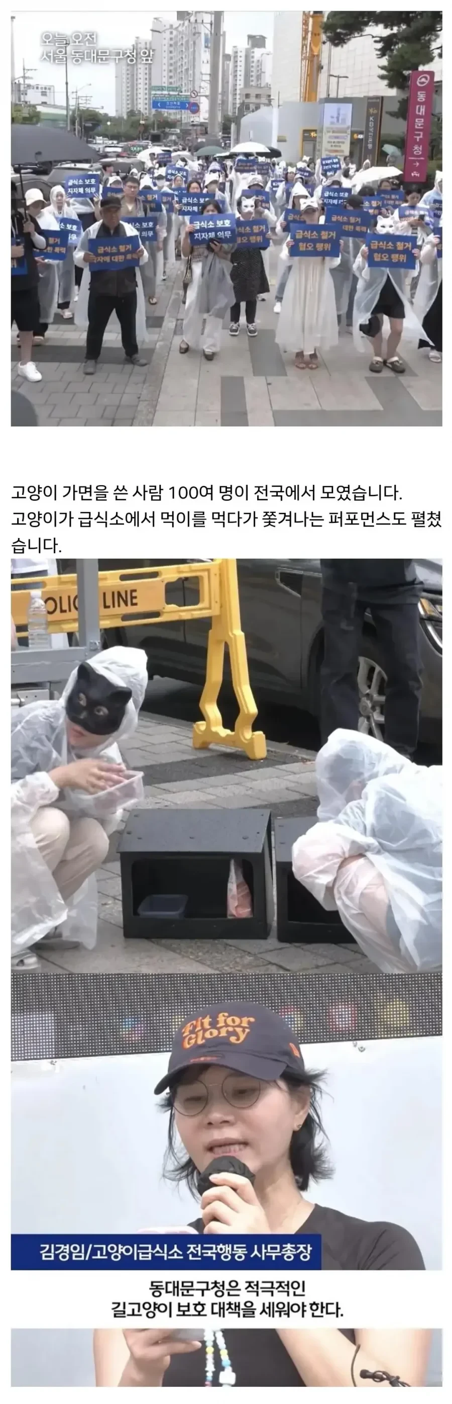동대문 캣맘들 근황