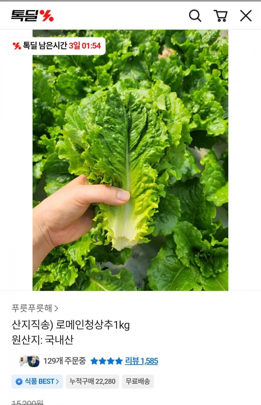 [카카오]로메인청상추1kg(4,900원/무배)