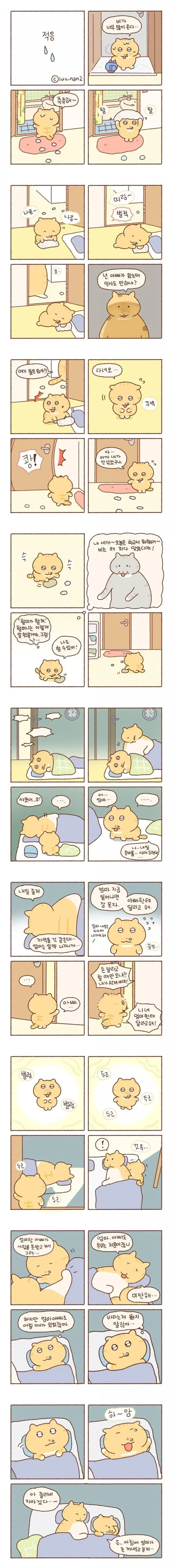 은근히 많다는 집안 사정 케이스.JPG