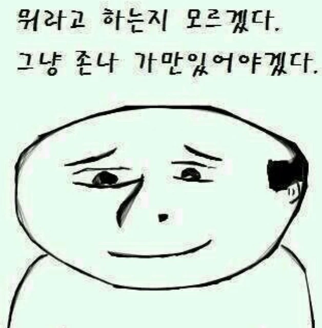 [속보] 반도체 초과세수로 '국부펀드', 30년후 월 62만원 국민배당 가능 주장