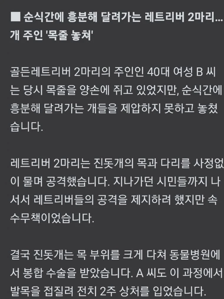 대형견 2마리를 놓친 40대 여성.gif