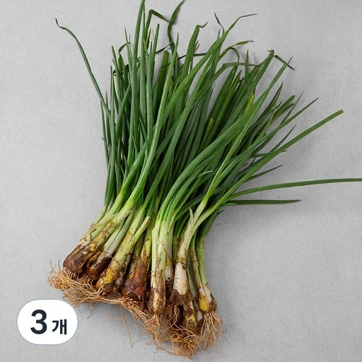 [ㅋㅍ]국내산 흙쪽파, 500g, 3개( 10,980원, 34% 할인)