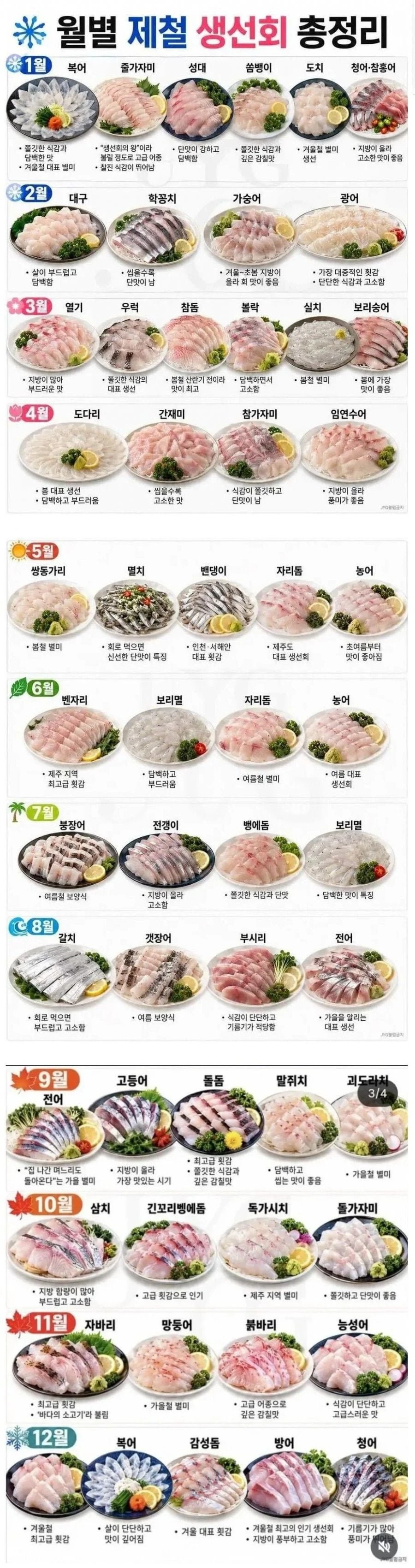 생선회 제철 총 정리