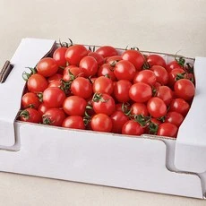 [ㅋㅍ]대추방울토마토, 2kg, 1박스( 9,990원, 30% 할인)
