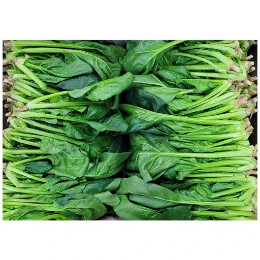 [ㅋㅍ]야채왕 싱싱한 시금치 4kg(3.8~4kg) 박스( 13,060원, 35% 할인)
