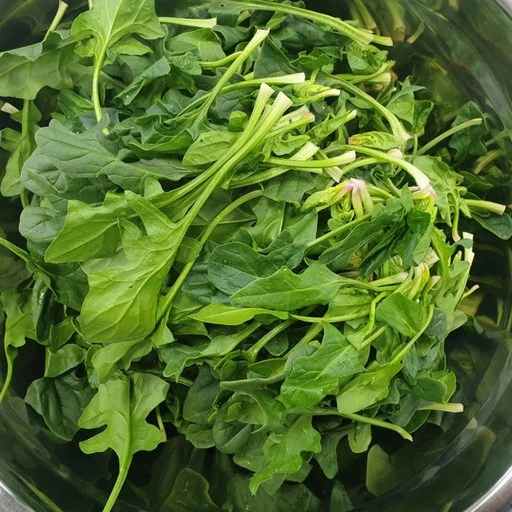 [ㅋㅍ]클릭마켓 국내산 지방 시금치, 4kg, 1박스( 9,500원, 32% 할인)