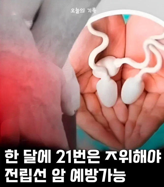 남성으로 살아가는 고통과 고뇌