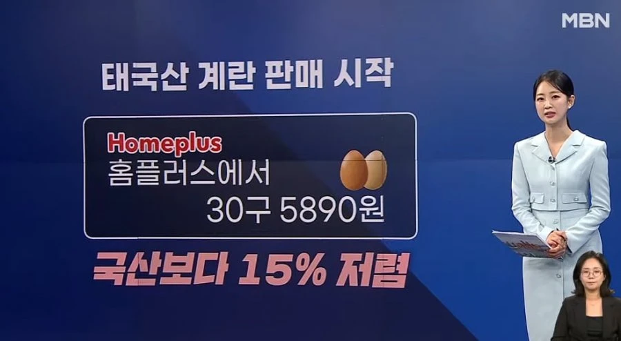태국산 계란 풀린다