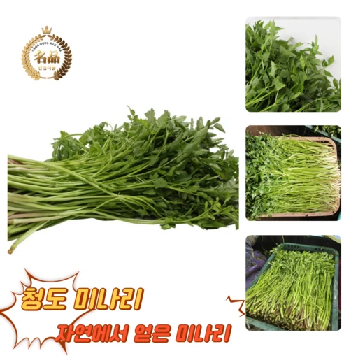 [ㅋㅍ][굿피플] 청도미나리 한재미나리 국내산미나리 미나리 청도 [청도미나리], 400g, 1박스( 8,960원, 36% 할인)