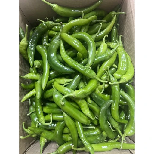 [ㅋㅍ]오이맛고추 풋고추 오이고추 못난이 1kg, 오이고추 상 5kg, 1개( 24,000원, 31% 할인)
