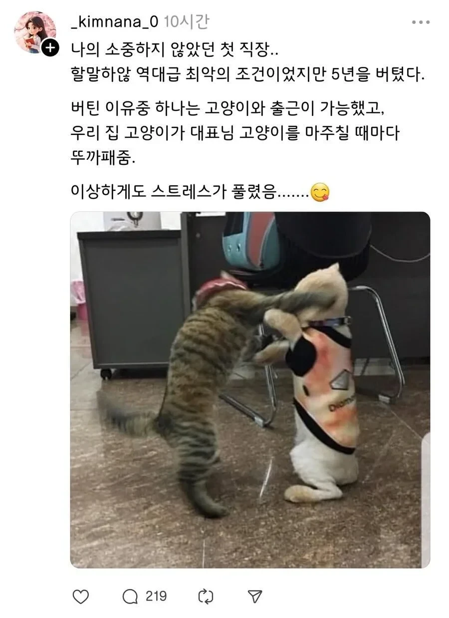 최악의 첫 직장을 5년 버틸 수 있었던 이유