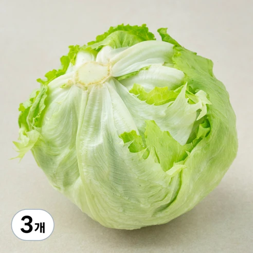 [ㅋㅍ]국내산 양상추, 1통, 3개, 1통 × 3개( 4,300원, 26% 할인)