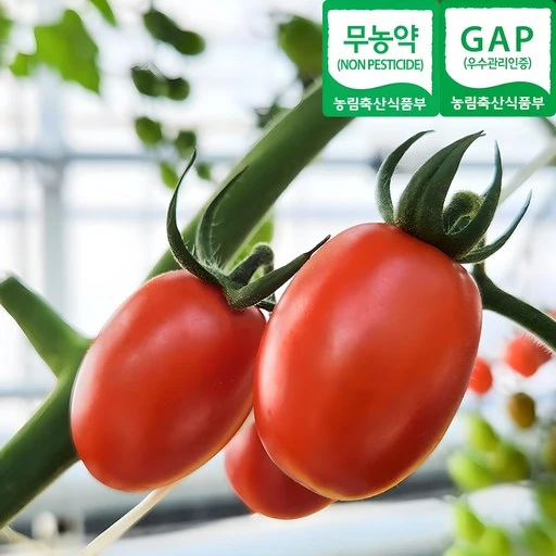 [ㅋㅍ]산지곳간 당일수확 무농약 대추 방울 토마토, 1kg, 1박스( 13,000원, 32% 할인)