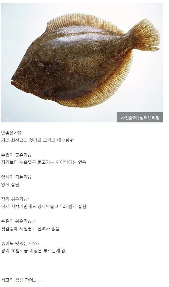 와.. 인류 역사상 최고의 생선 ㄷㄷ.jpg