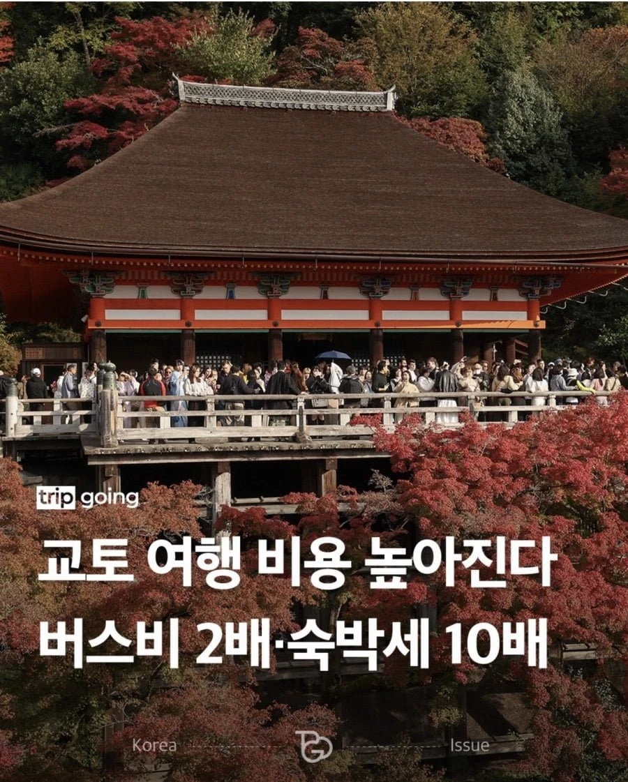 배부른 일본