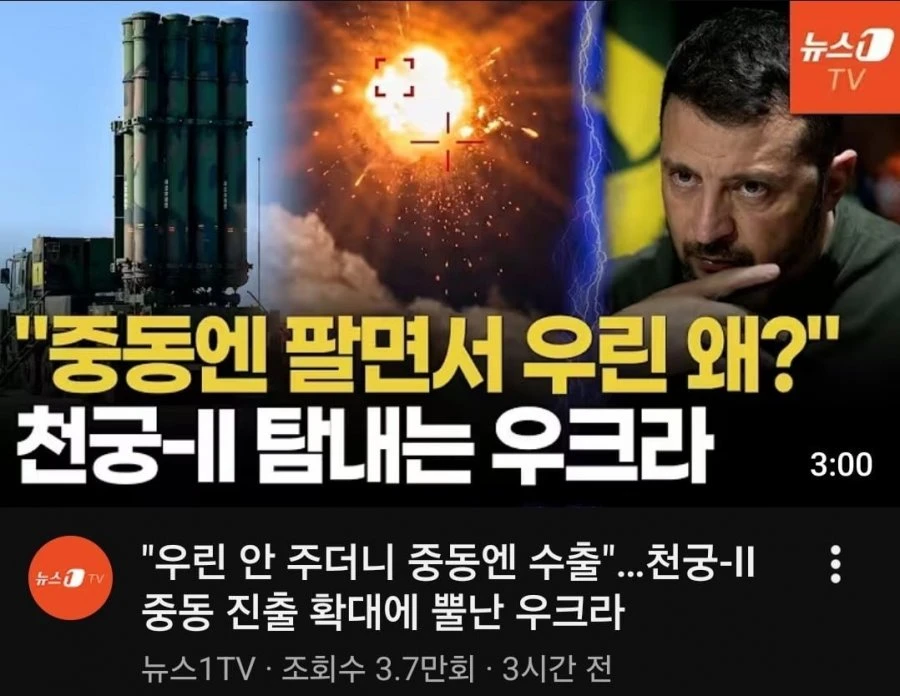 우크라이나 한국 극딜 jpg