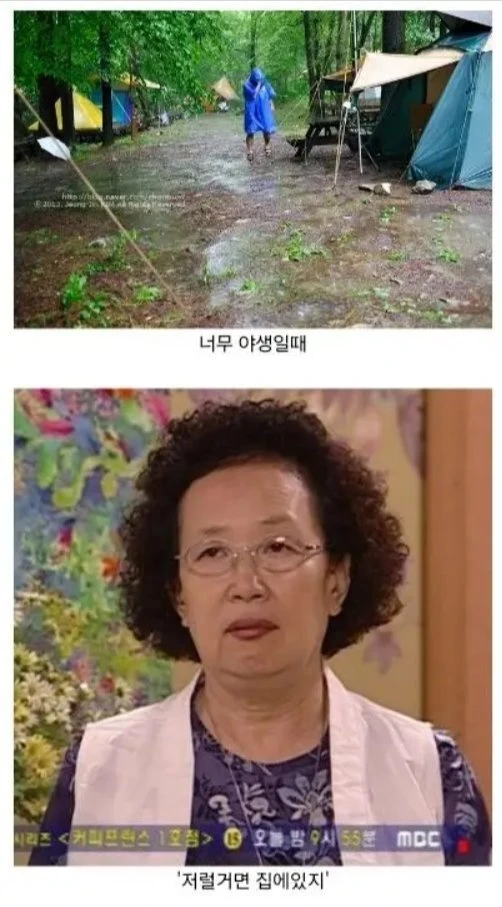 캠핑하는 사람 보는 비캠퍼의 시선