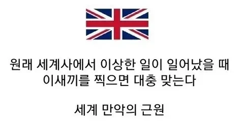 20260227164112_egMOGncDgJ.webp