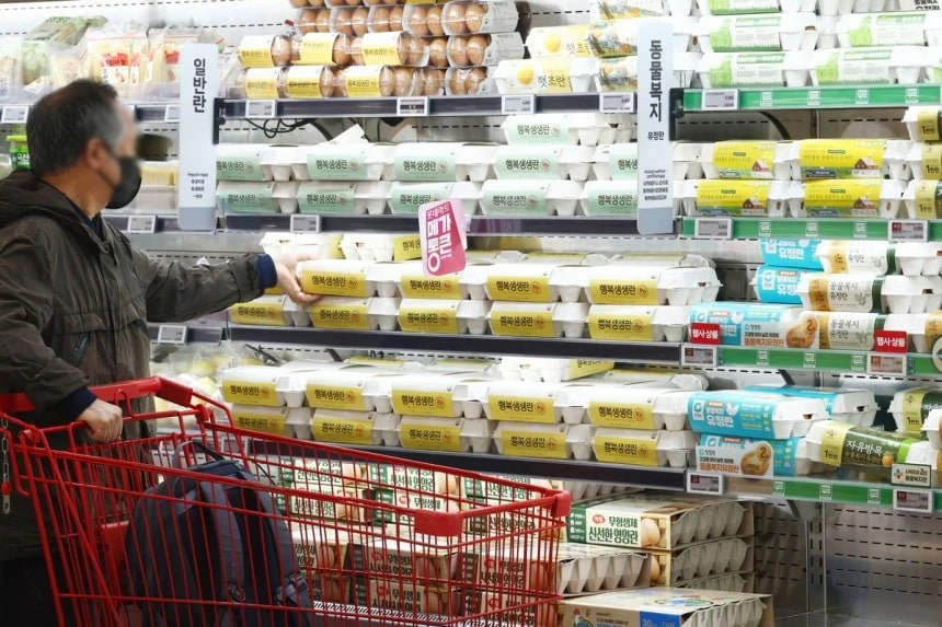계란이 비쌌던 이유