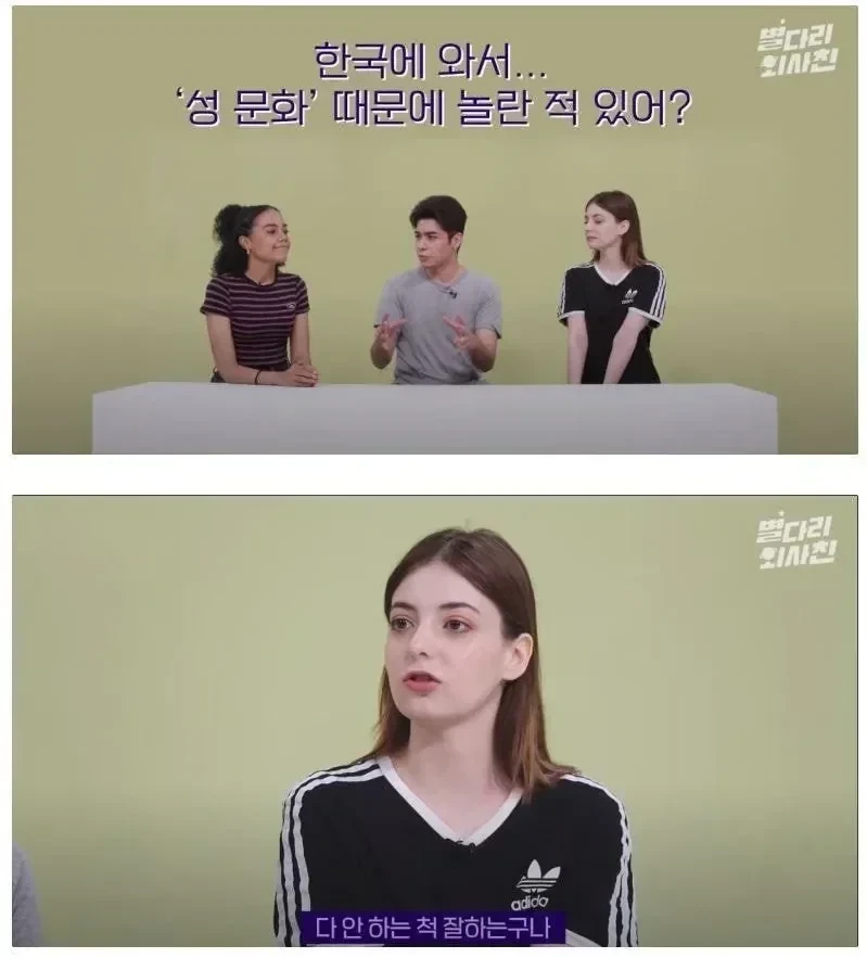 외국인이 놀란 한국의 성문화