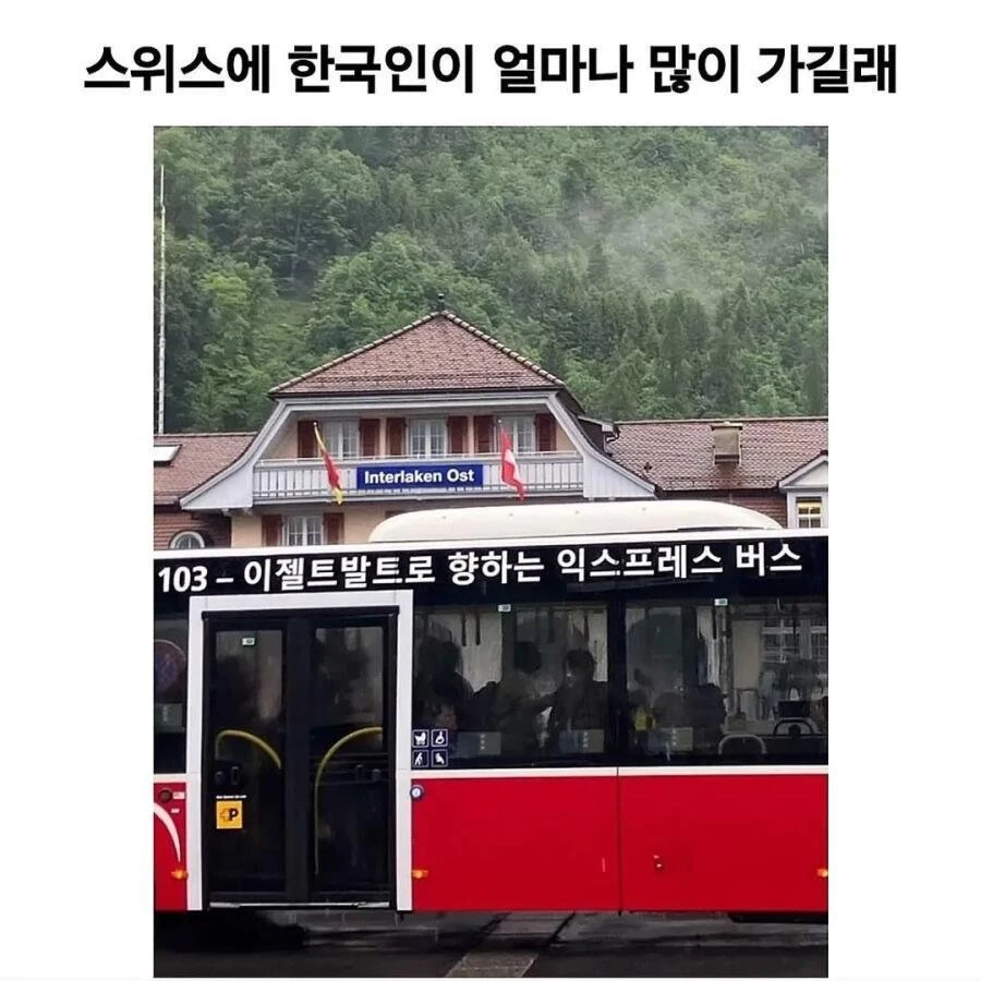 스위스에 한국인이 얼마나 많이 가길래