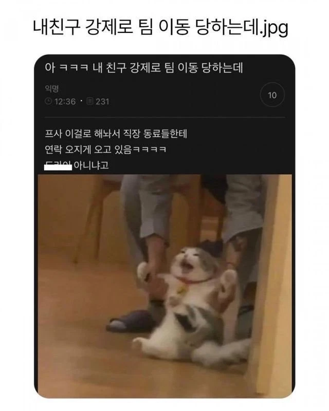 강제로 팀 이동당하는 사람 프사.jpg