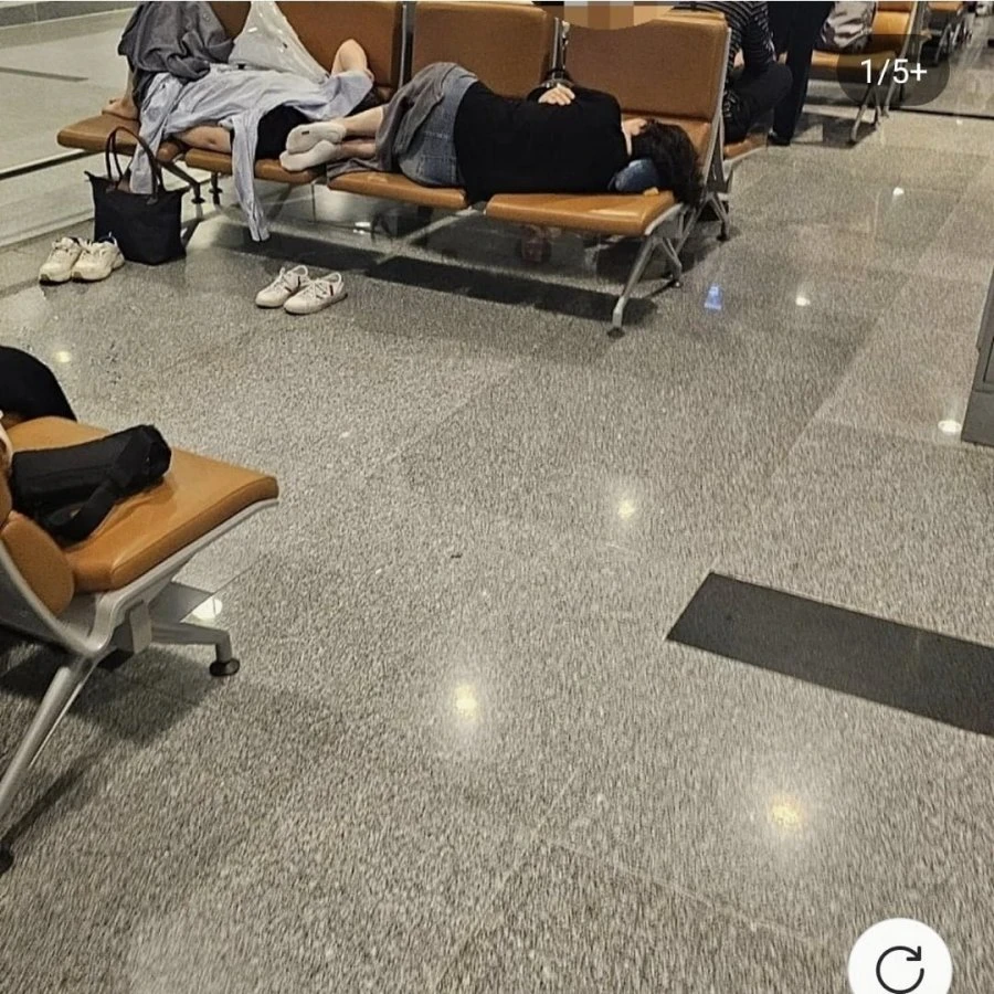다낭 카페에 올라온 사진