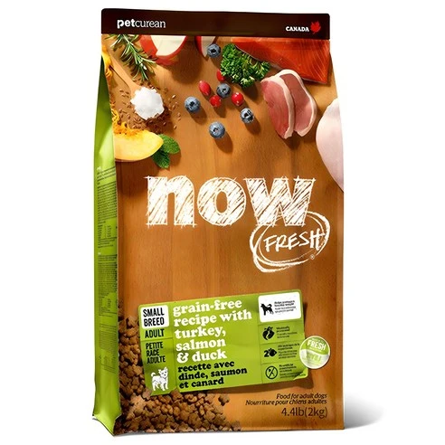 [ㅋㅍ]now 어덜트 강아지 그레인프리 스몰브리드 건식사료, 칠면조, 2kg, 1개( 27,820원, 15% 할인)
