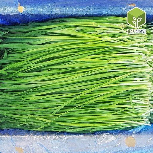 [ㅋㅍ]부추 4kg, 1박스( 12,400원, 39% 할인)