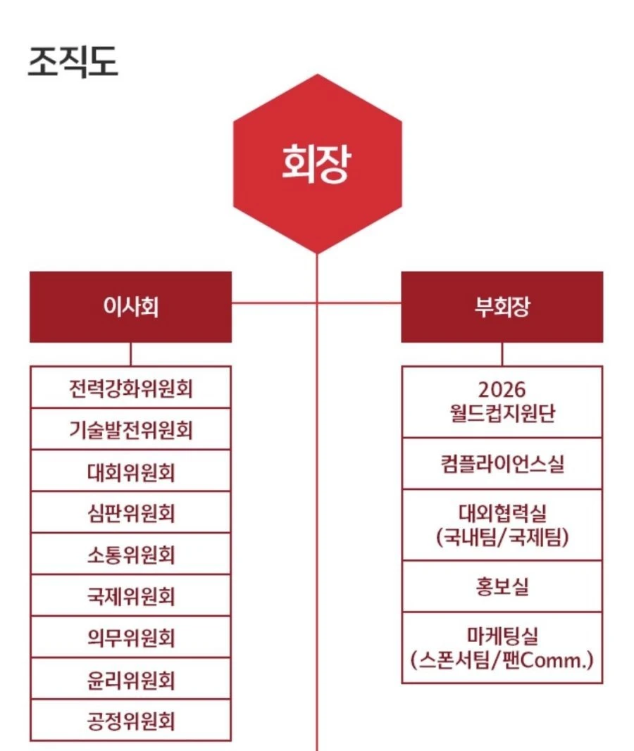 미쳐버린 축구협회 조직도.jpg