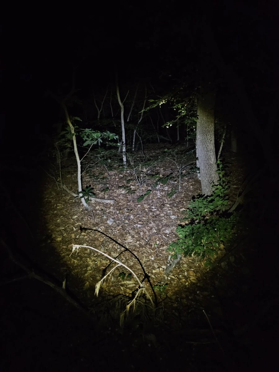 20260525015451_OjopkbqS2p.jpg