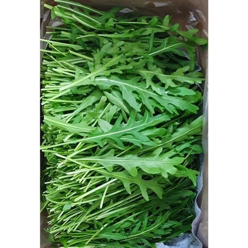 [ㅋㅍ]야채왕 와일드 루꼴라(베이비루꼴라) 중량별, 와일드 루꼴라500..., 1개( 6,600원, 45% 할인)