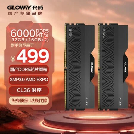 중국산 DDR5 메모리