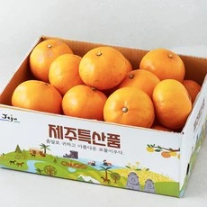 [ㅋㅍ]가족 못난이 천혜향 랜덤과, 3kg, 1개( 16,530원, 45% 할인)