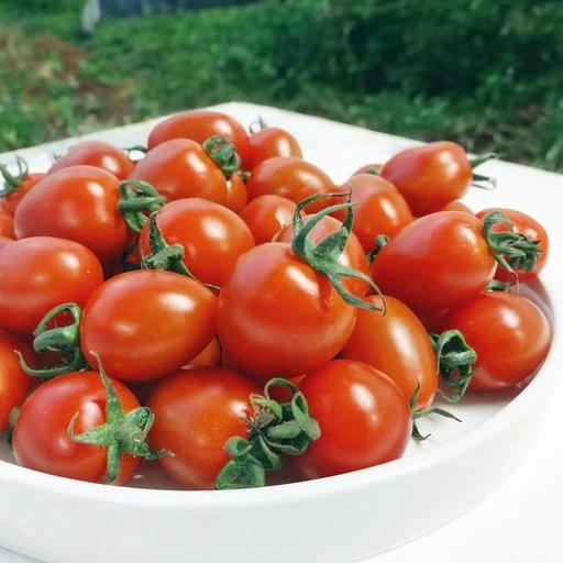 [ㅋㅍ][싱싱냠냠] 국내산 대추 방울토마토, 2kg(소과), 1박스( 10,660원, 22% 할인)