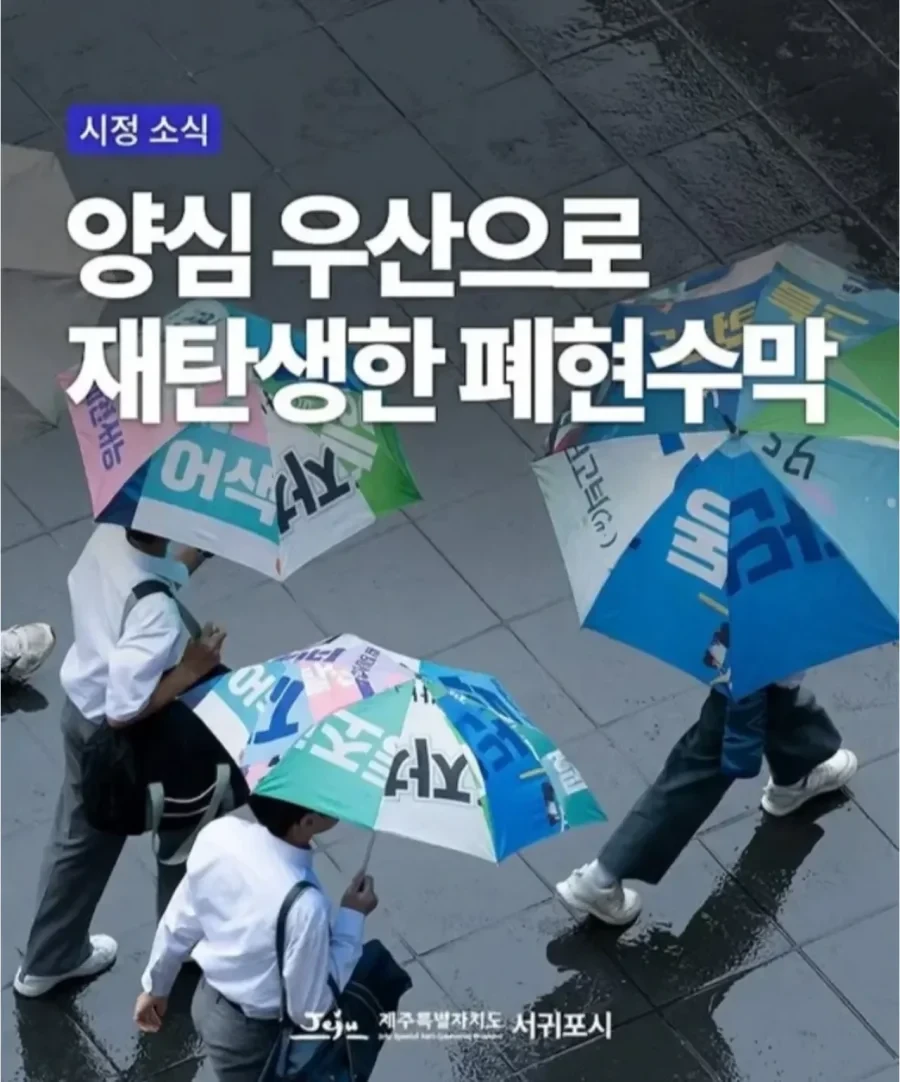 제주도에 있다는 양심 우산.jpg