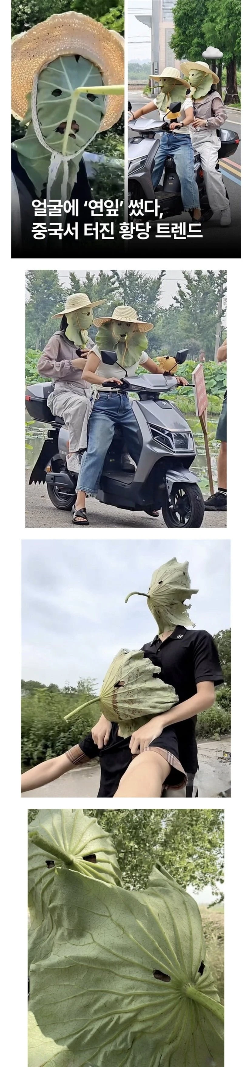 중국에서 유행중인 햇빛 차단법 ㄷㄷ.jpg