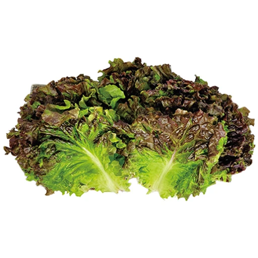 [ㅋㅍ]야채왕 꽃상추 200g / 500g / 1kg /4kg 1박스, 꽃상추4kg 1박스, 1개( 16,000원, 39% 할인)