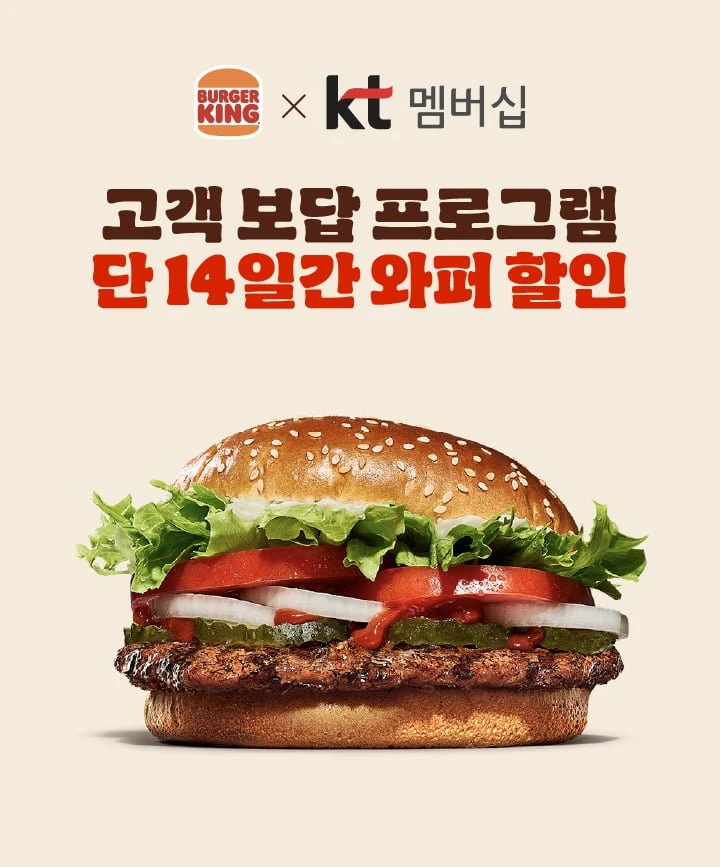 KT고객보답 와퍼 유의사항