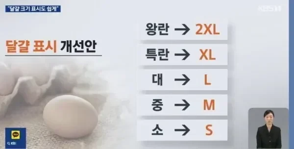 계란 크기 표기법 변경