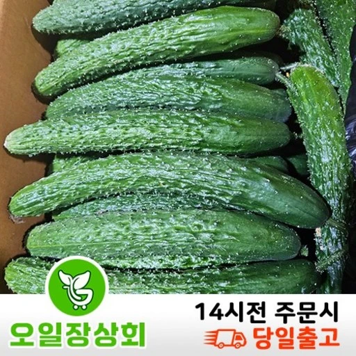 [ㅋㅍ]( 오일장상회 )국내산 가시오이 못난이오이 상등급10kg, 10kg내외, 1개( 24,500원, 30% 할인)