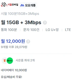 9개월 알뜰폰 요금제: 15GB, 통화 100분, 월 12,000원