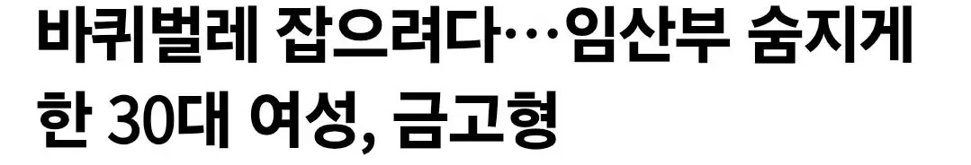 바퀴벌레 잡으려다..임산부 숨지게한 30대 여성, 금고형
