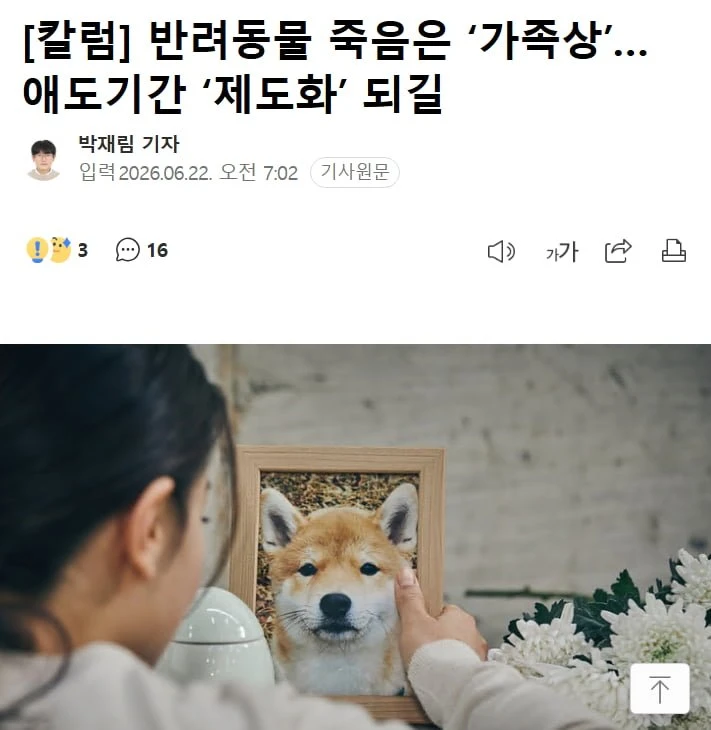 반려동물 죽음은 가족상 이니, 제도화해서 정식 휴가 달라는 기사
