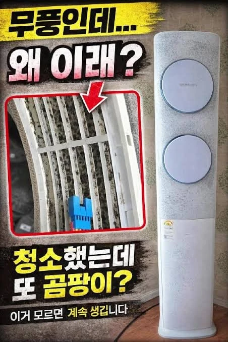 20260426142648_yu7VsdCoDB.jpeg