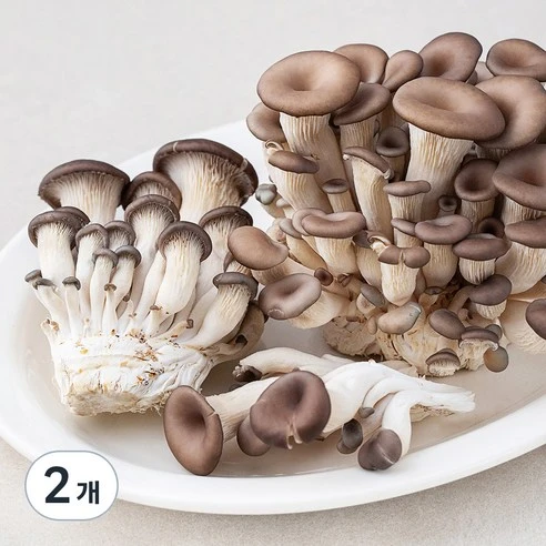 [ㅋㅍ]친환경인증 참타리버섯, 300g, 2팩( 2,870원, 22% 할인)