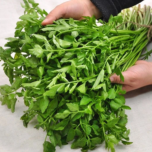 [ㅋㅍ][푸르젠] 국내산 미나리, 4kg, 1개( 16,390원, 58% 할인)