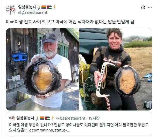 미국 자연산 전복 크기