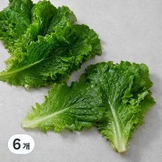 [ㅋㅍ]국내산 청상추, 150g, 6개( 6,720원, 35% 할인)